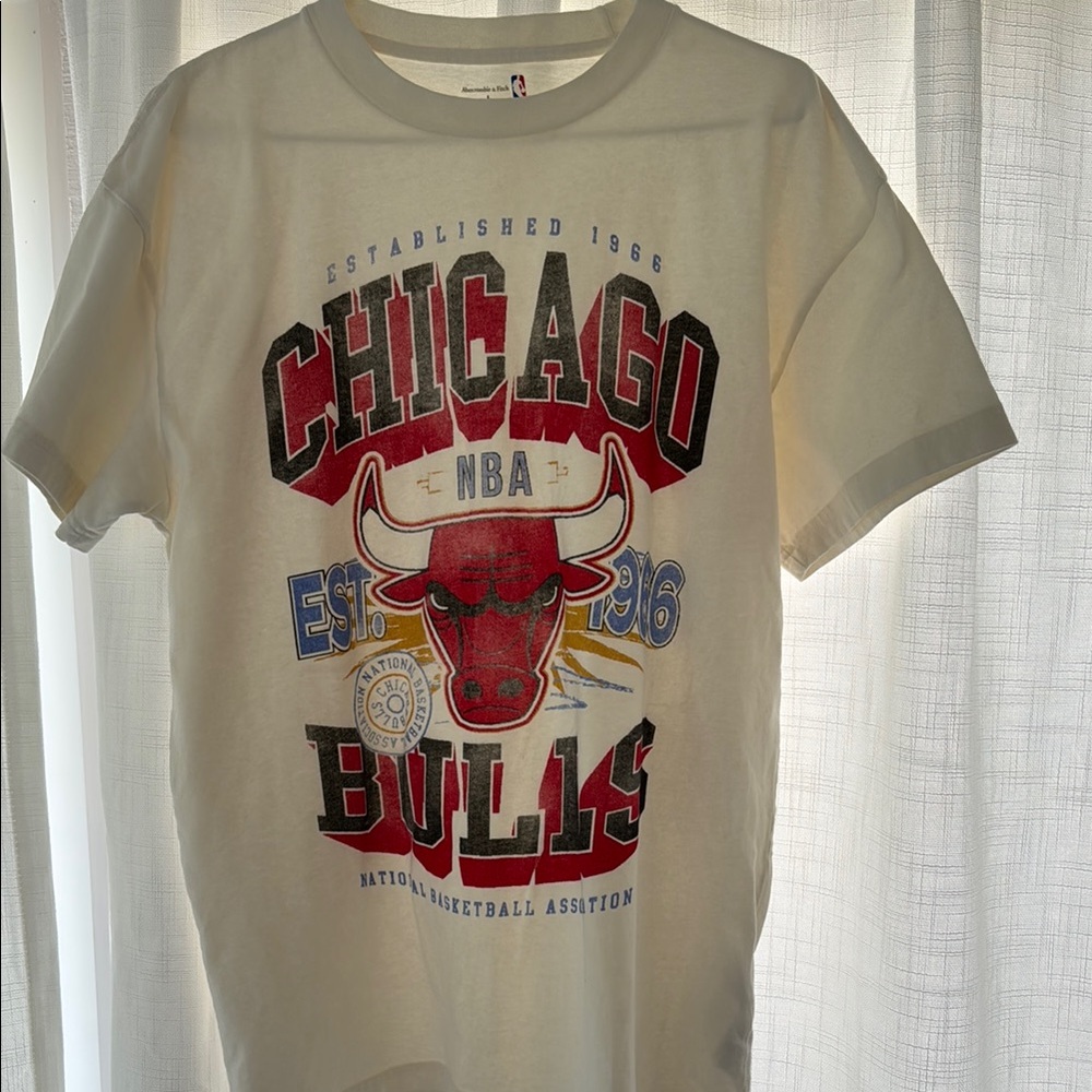 Abercrombie & Fitch Chicago Bulls Graphic T-Shirt